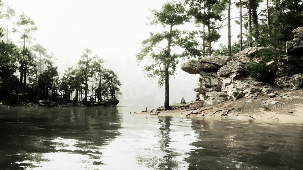 소나무 숲 에 있는 조용 한 안개 가 가득 한 호수