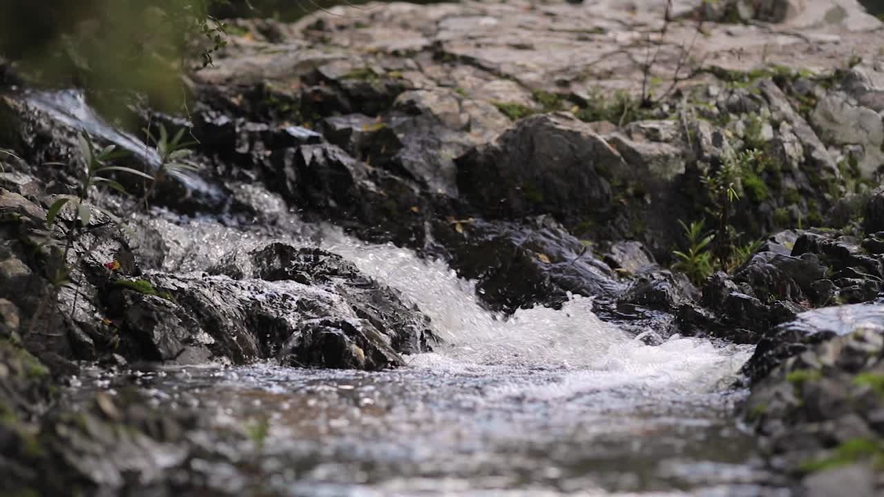 세븐 브라더스 숲 내부 강 폭포의 틸트 속도 경사로 촬영
