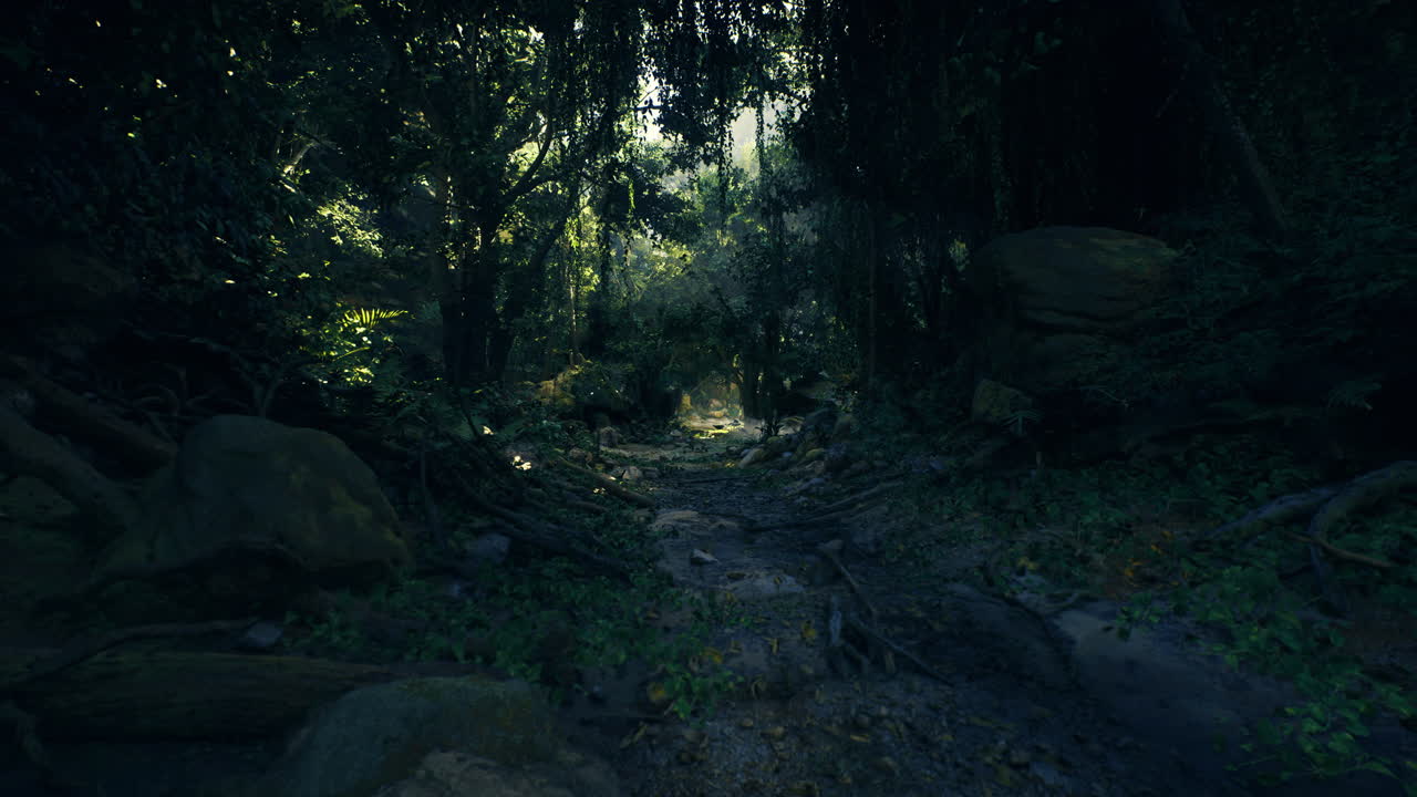 Exploring a serene forest path with sunlight filtering through trees ...