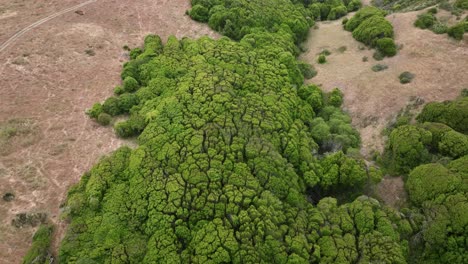 Drone-Rising-Slowly-From-Green-Valley-High-Mountains-Revealing-Beautiful-Scene,-San-Franciso