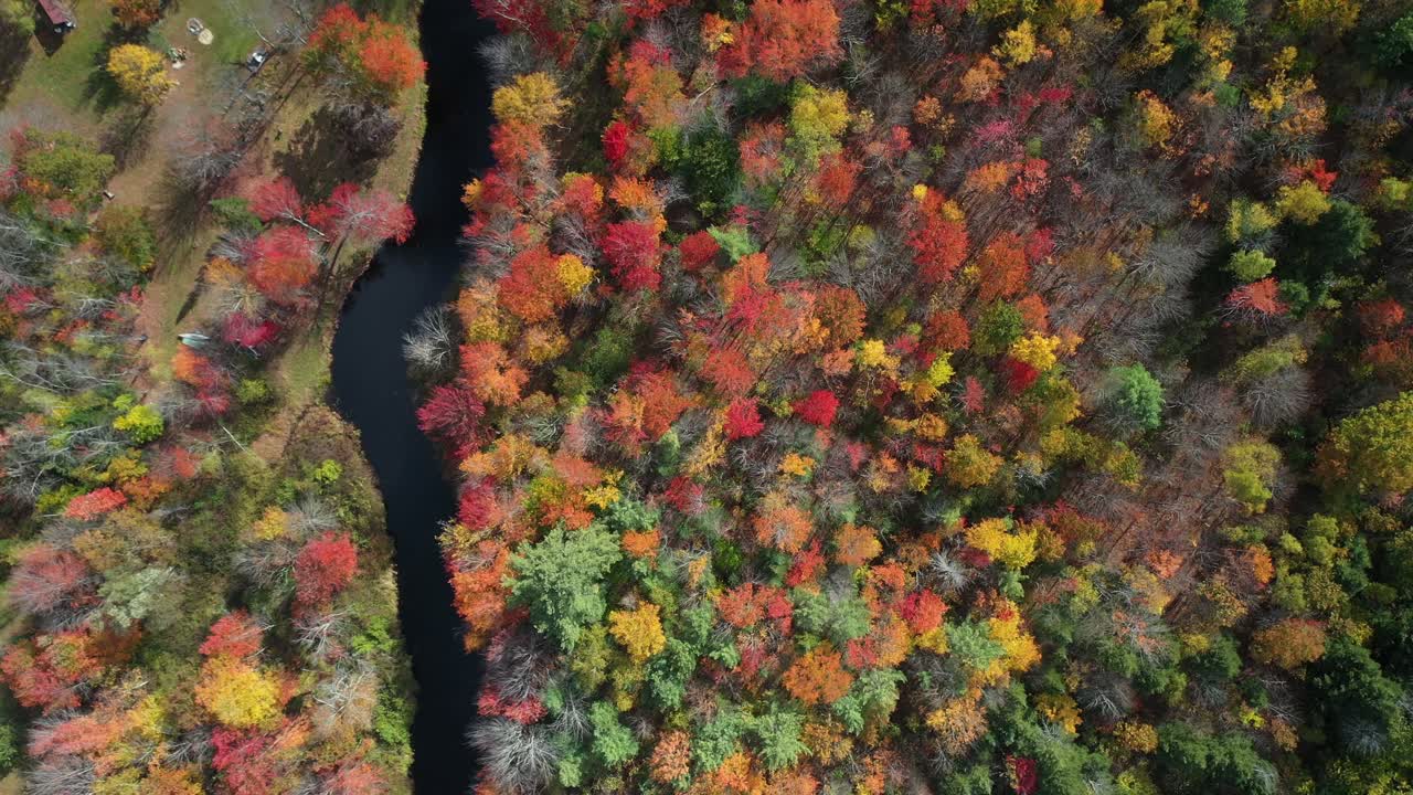 vista aérea a vista de pájaro del bosque otoñal con colores llamativos y río en el campo americano, disparo de drones de arriba hacia abajo