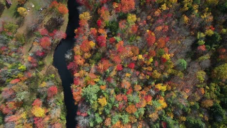 vista aérea a vista de pájaro del bosque otoñal con colores llamativos y río en el campo americano, disparo de drones de arriba hacia abajo