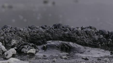 boiling hot geothermal volcanic mud pool, closeup shot steamy lake bubbling mud and steam satisfying