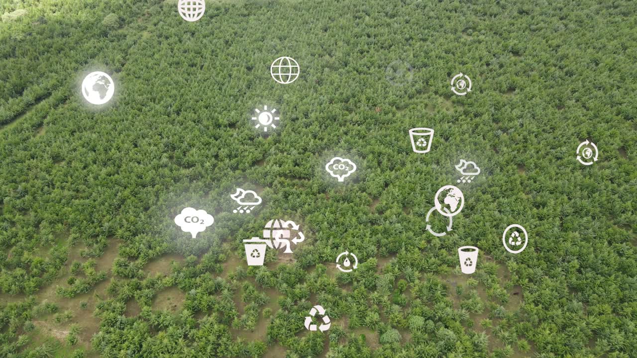 드론 뷰 - 아프리카 숲 - 케냐 와 탄자니아 - 킬리만자로 산의 경사 에 산불 로이토토크 케냐