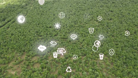 drone view- áfrica bosque- kenia y tanzania- incendio forestal en las laderas del monte kilimanjaro loitokitok kenia