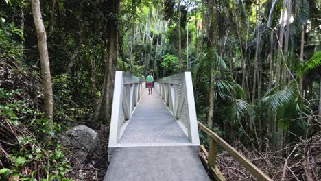 person walking on a forest bridge