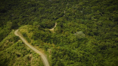 Hermoso-Camino-Sinuoso-A-Través-De-Una-Densa-Selva-Tropical