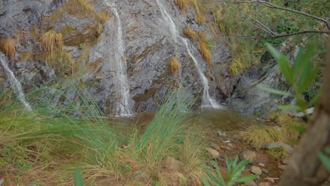 Kleiner-Wasserfall-Im-Wald-In-Zeitlupe