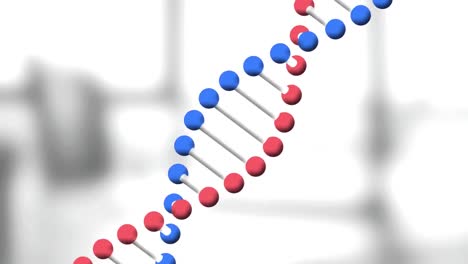 Animation-of-dna-structure-spinning-against-empty-office