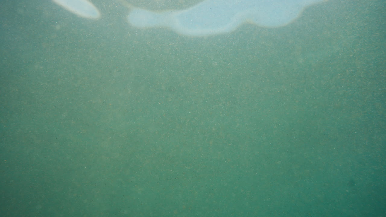 escenas bajo el agua