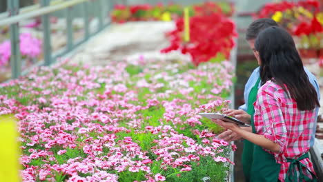 Gardeners-standing-at-the-greenhouse-talking-