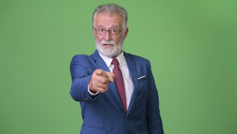 hombre de negocios barbudo y guapo contra un fondo verde.