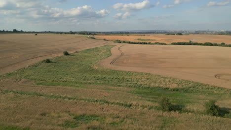 Ackerland-Mit-Geernteten-Weizenpflanzen-Im-Hintergrund-In-Polen