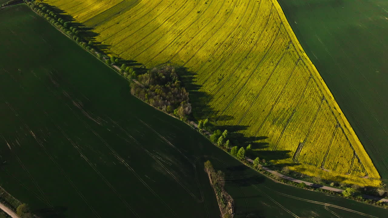 Aerial: green field and land in the nature during the day, outdoor, flyover drone shot