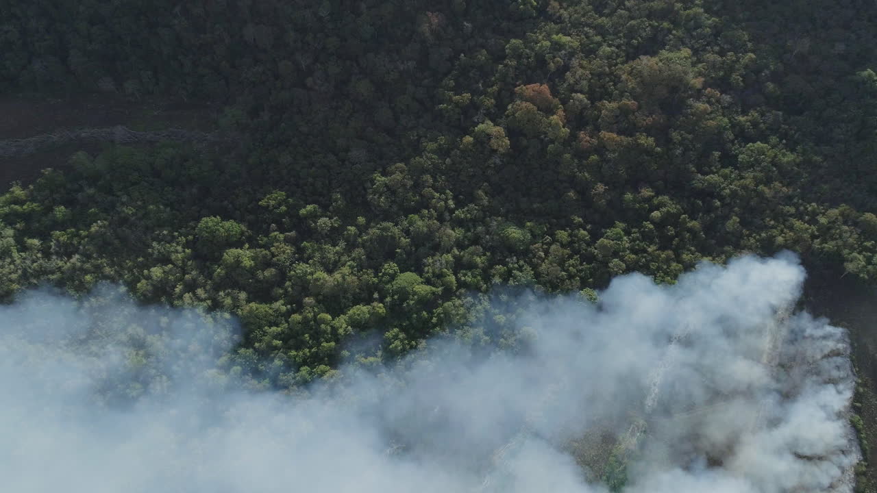 incendio forestal amazónico en brasil 2019 - drone aéreo disparado lleno de humo