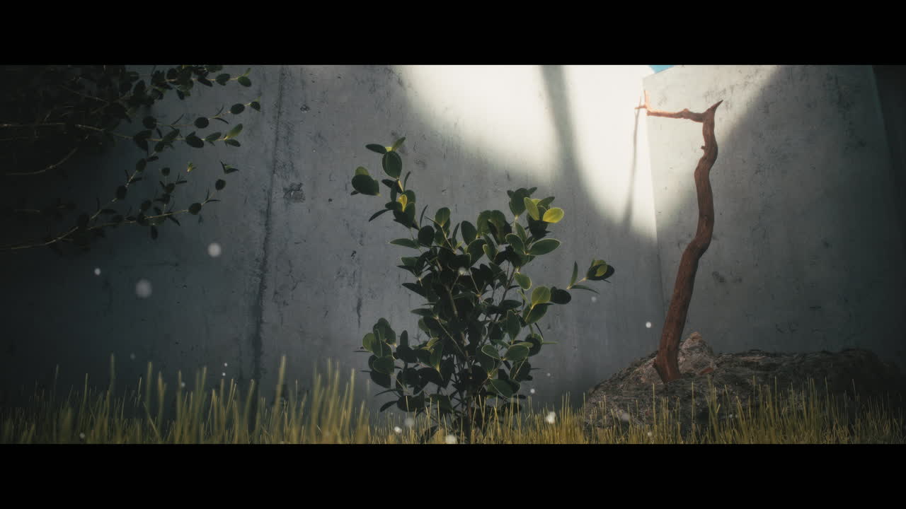 Minimalist Garden Scene with Sunlight and Branches