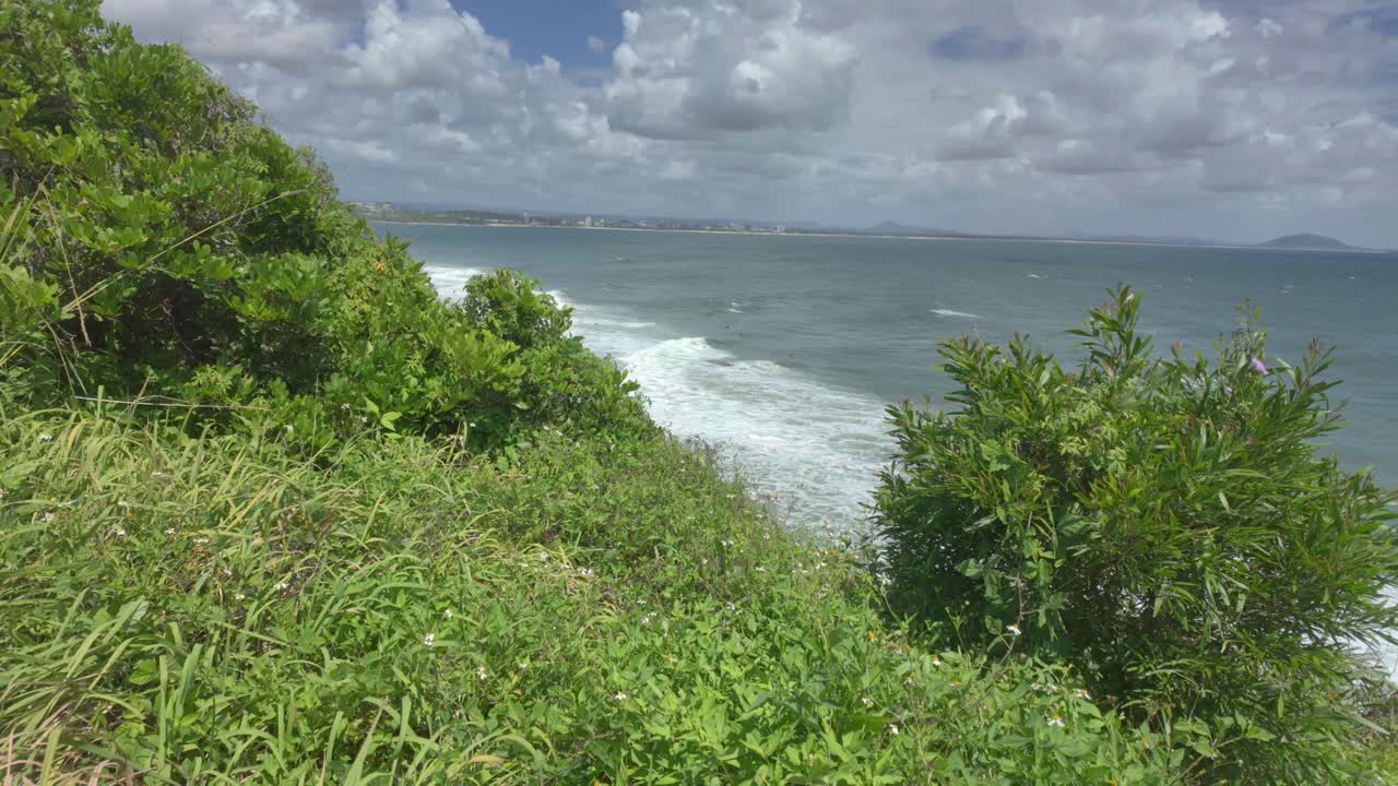 View of the Pacific Ocean with green vegetation and trees in the foreground in Australia