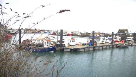 harbour in ireland, seagul flying by