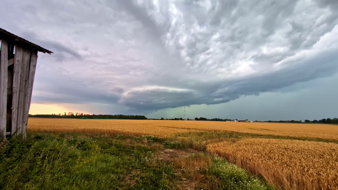 A vast golden field with a distant storm cloud approaching in Jelgava, Latvia