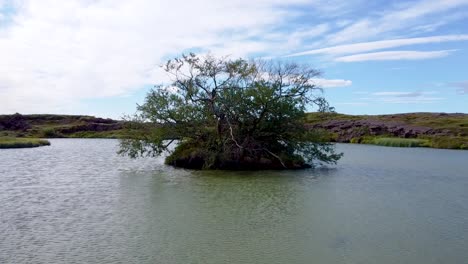 Pequeña-Isla-Con-árboles-En-Medio-Del-Estanque,-Plataforma-Rodante-Aérea-En