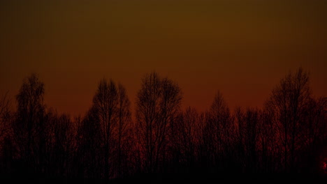 time lapse shot of golden sunset ball falling behind leafless trees in the evening