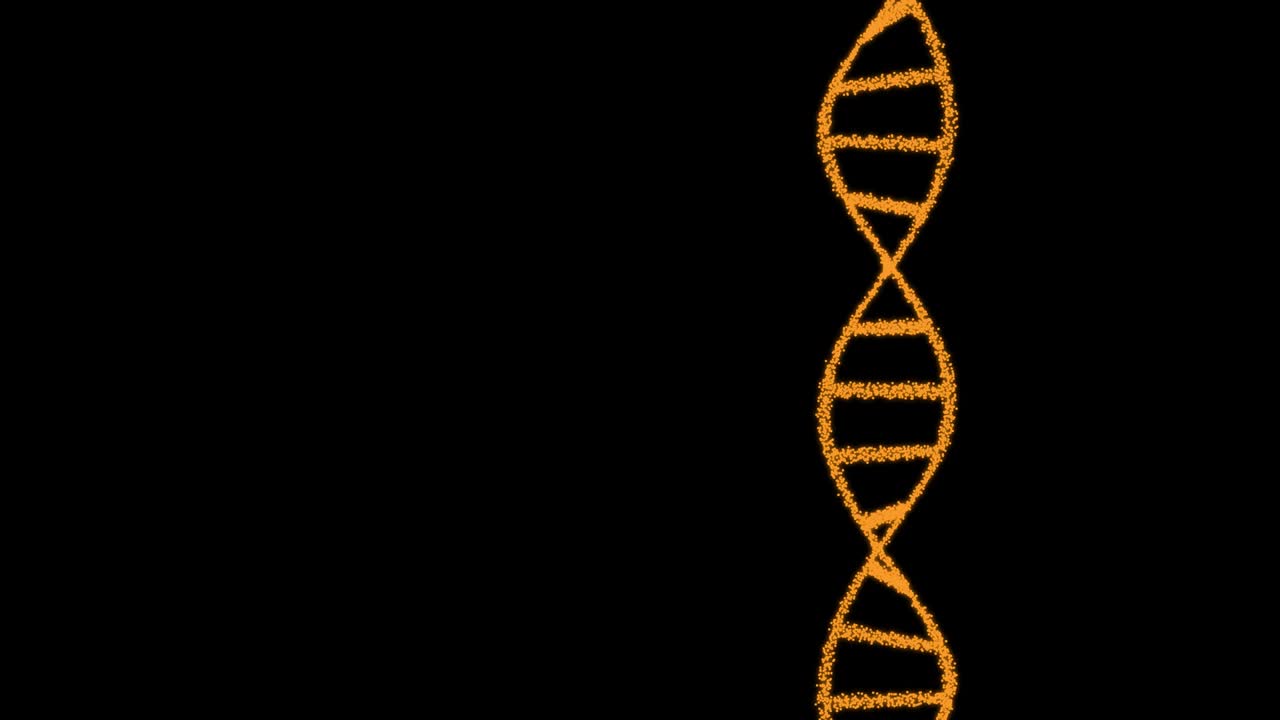 2D animation of DNA composed of particles on a black background. 60FPS. The object is vertical. The subject is on the right.