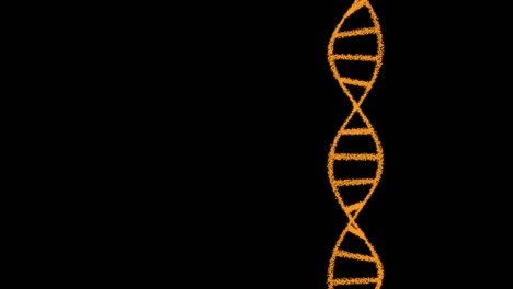 2d animation of dna composed of particles on a black background. 60fps. the object is vertical. the subject is on the right.