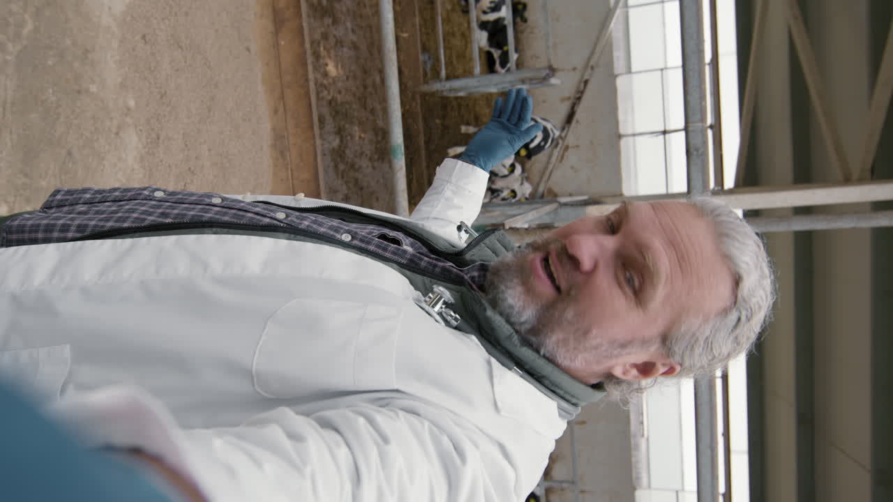 Vertical POV of Male Vet at Cattle Farm