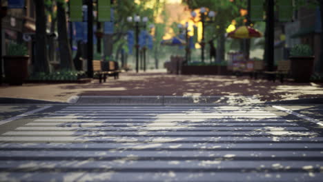 quiet city park with trees and benches