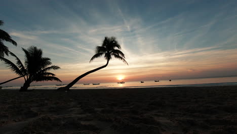 motion timelapse of people in silhouette walking at the beach in tulum, mexico on a sunrise