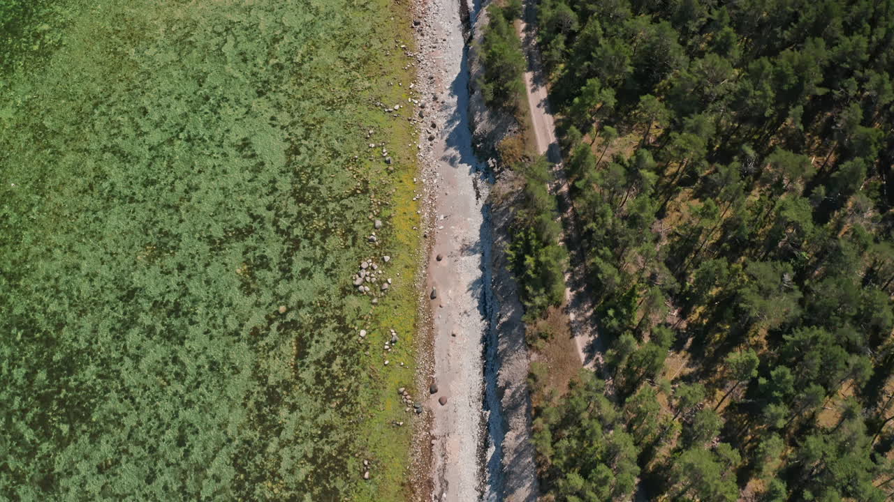 hermosa vista aérea costera de aguas claras y una playa de guijarros rocosos y un bosque de pinos