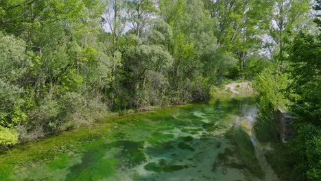 Aerial-following-forward-the-calm-green-river-Cetina-in-Croatia-on-a-sunny-day