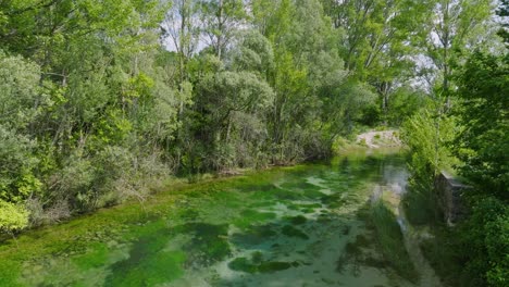 zdjęcie z powietrza na spokojnej zielonej rzece cetina w chorwacji w słoneczny dzień