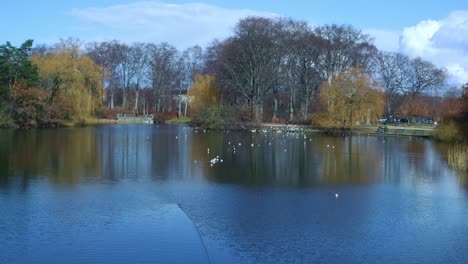 Copenhagen-Spring-Park-–-Copenhagen-Fælledparken