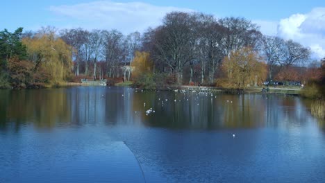 parque de la primavera de copenhague – copenhague fælledparken