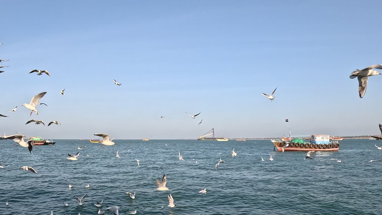 이 전환 장면은 무한한 푸른 하늘에서 아오르는 바다 위에서 무질서하게 여있는 바다표범의 여정을 우아하게 포착하여 자연의 무질서한 전환을 보여줍니다.