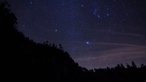 Impresionante-Lapso-De-Tiempo-Cinematográfico-De-Un-Cielo-Estrellado-Sobre-Un-Bosque-Recortado