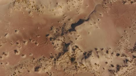 vista aérea de texturas de dunas de arena en la región árida del cabo norte, sudáfrica
