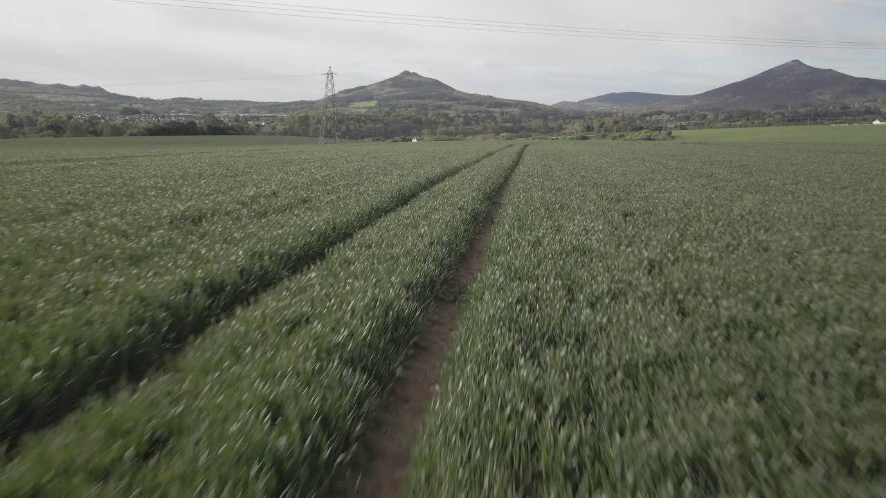 huellas de tractor en un campo orgánico con vista panorámica a la montaña en el fondo en irlanda