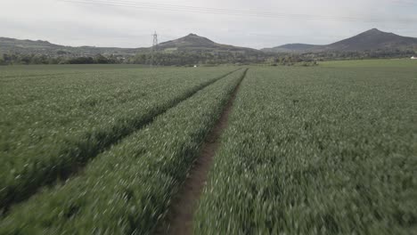 Traktorspuren-In-Einer-Organischen-Landschaft-Mit-Malerischem-Blick-Auf-Die-Berge-Im-Hintergrund-In-Irland