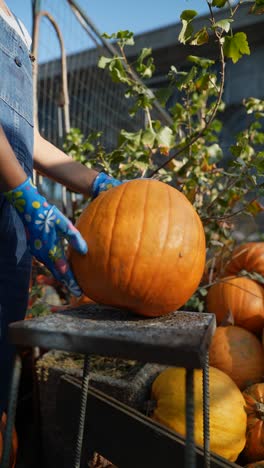 mujer sosteniendo una calabaza en un mercado agrícola de otoño