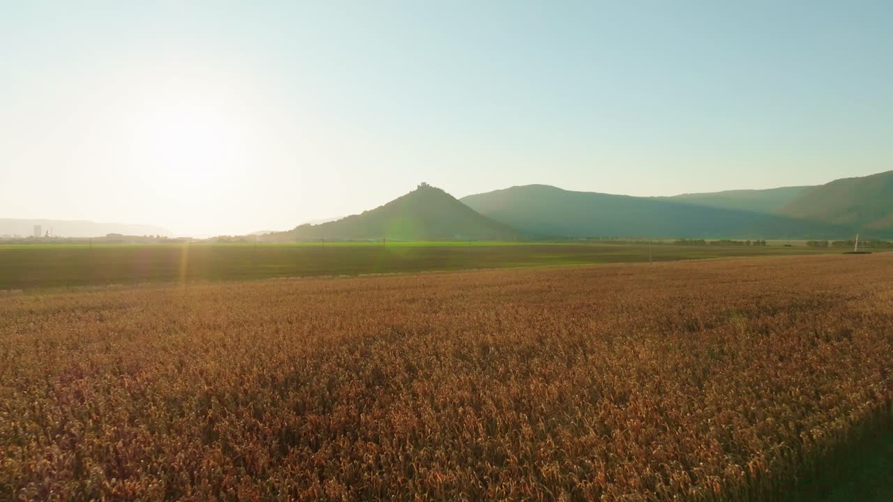 Aerial View of a Cornfield with a Hill and Sunset