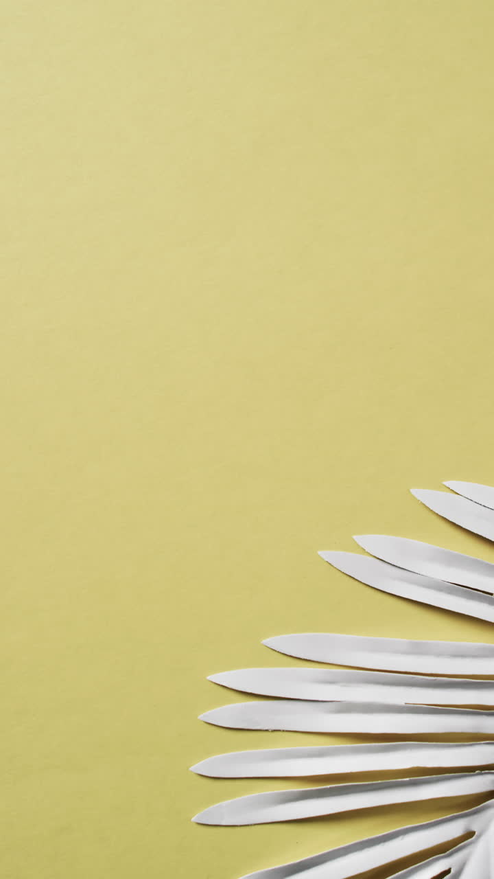 Vertical video of white plant leaves with copy space on yellow background