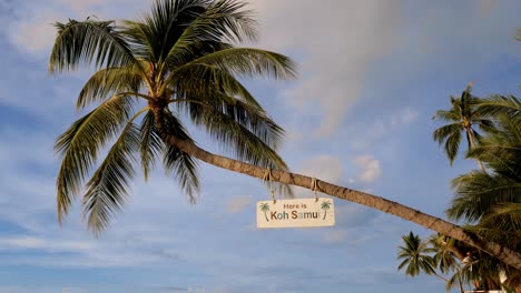 hanging welcome sign on coconut tree-here is samui island