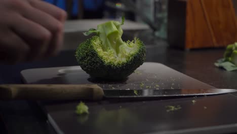 one floret cut off healthy green broccoli crown in home kitchen