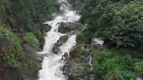 stunning waterfall in a lush forest