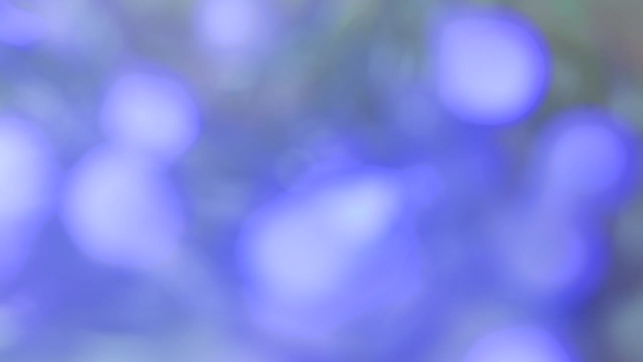 The Christmas blue lights and the green beam flicker to create beautiful bokeh.