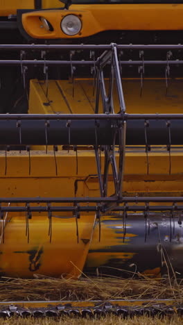 harvest time of wheat crop. combine harvester agricultural machine collecting golden ripe wheat on the field vertical video