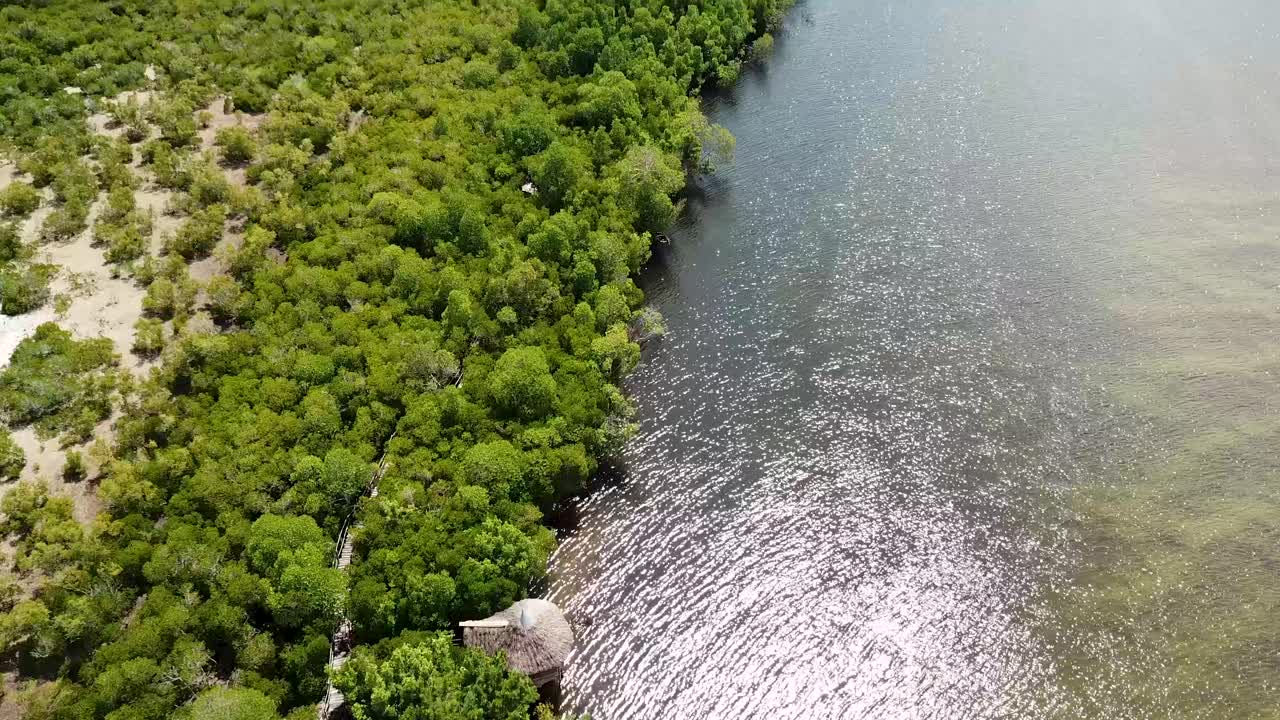 Amazing drone view of Gazi Mangrove Boardwalk