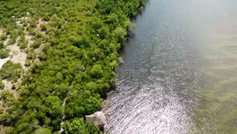 amazing drone view of gazi mangrove boardwalk